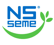 NS SEME – DAN POLJA Logo